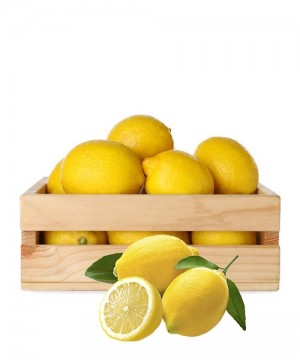 Limoni di Sicilia 10Kg